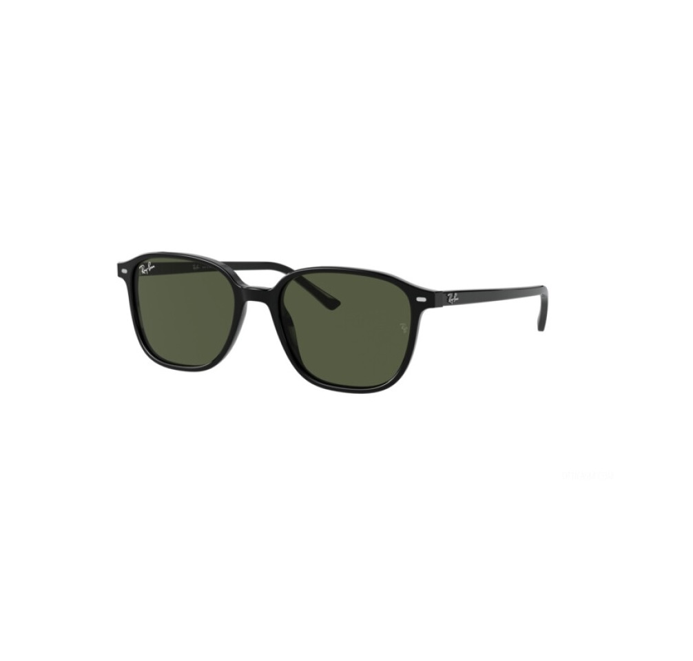 Ray-Ban LEONARD RB 2193 (901/31) - AS OPTIK